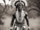 Leonardo_Phoenix_A_majestic_black_and_white_image_of_a_regal_A_2